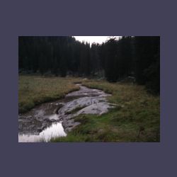 2012-08-09_01Fischunkel-Alm_Wasseralm (478).JPG